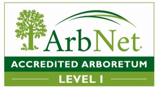 ArbNet Logo