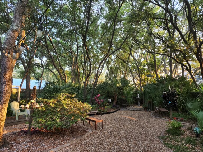 Garden 10 768x576