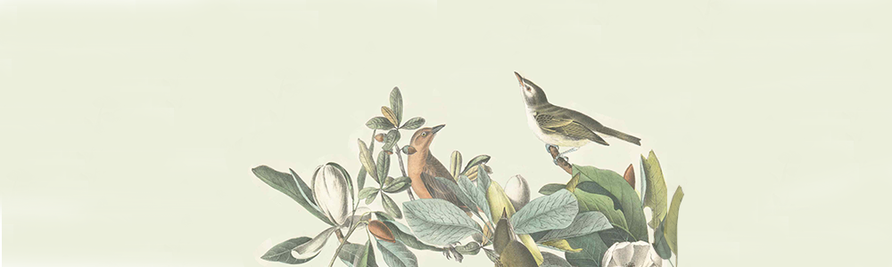 User banner image