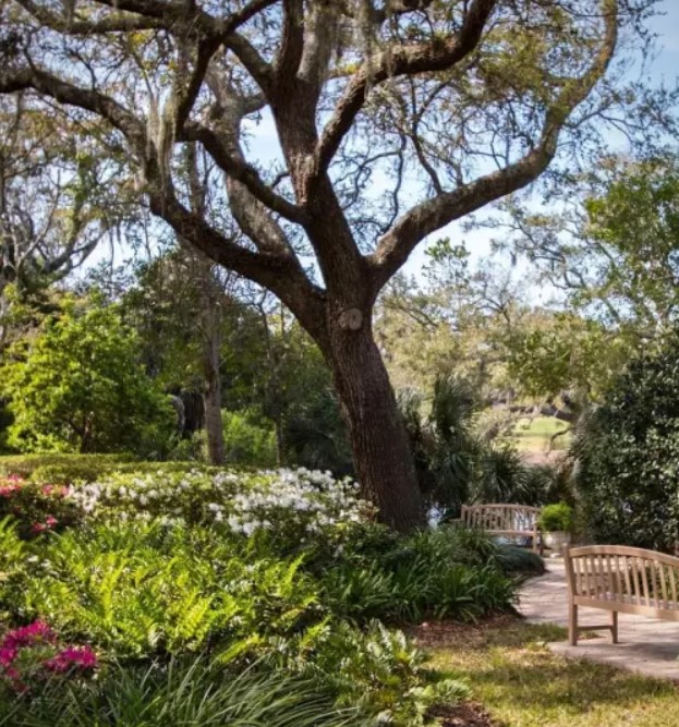 omniameliaisland 1