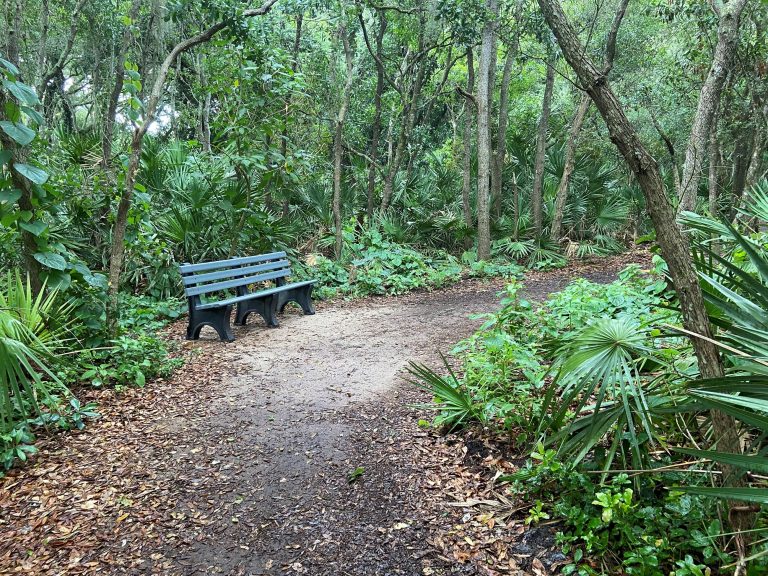 simmons park1 768x576